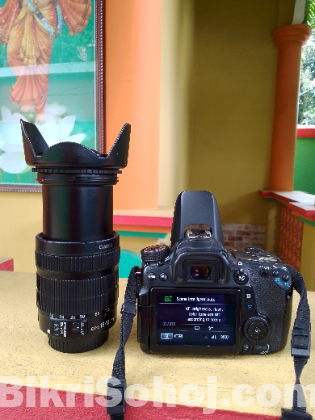 Canon 70D with 18-135 Stm lens & Godox Flashlight